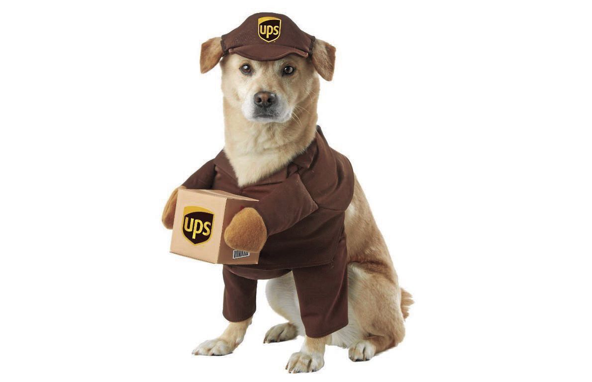Delivery Pup